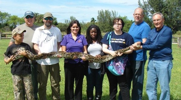 Florida python hunt is underway, Report