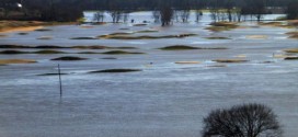 Illinois: Levee breaks threaten more homes in Midwest, cleanup could take weeks