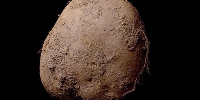 Kevin Abosch: Potato Photo Shot by photographer Sells for More than $1.5 million