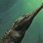 Machimosaurus Rex: 30-Foot Prehistoric Crocodile Lived In The Sahara (Video)