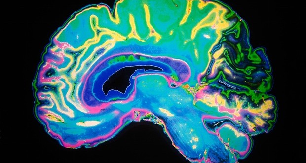 Researchers May Have Just Discovered The Key To Halting Alzheimer's