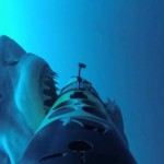 Underwater Robots Help Researchers Understand Great White Sharks