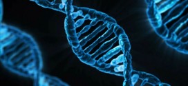 British Scientists get 'gene editing' go-ahead