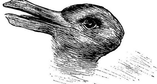 Duck or Rabbit: Which animal do you see first in this optical illusion? “Photo”