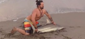 Florida Man pulls shark from Florida waters for photographs (Video)