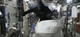 'Gorilla' chases astronauts aboard space station (Video)