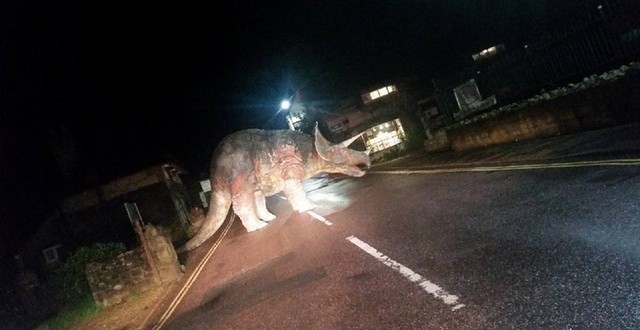 Isle of Wight: Triceratops obstructs traffic on United Kingdom street