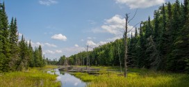 Nature Conservancy of Canada Celebrates World Wetlands Day