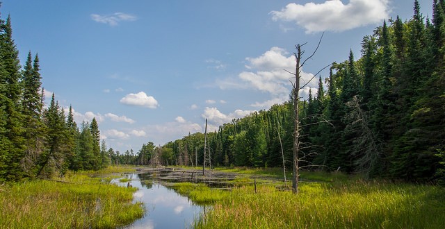 Nature Conservancy of Canada Celebrates World Wetlands Day