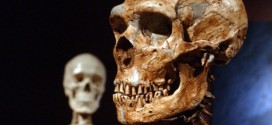 Neanderthals and modern humans Interbred 100000 Years Ago: New Study