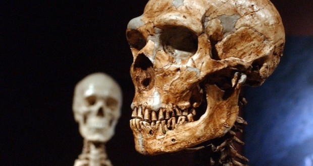 Neanderthals and modern humans Interbred 100000 Years Ago: New Study