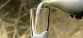 Organic milk, meat richer in omega-3, Study Finds