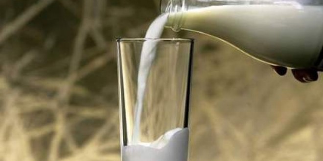 Organic milk, meat richer in omega-3, New Study Finds