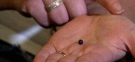 Quahog purple pearl: Woman finds $600 pearl in restaurant seafood dish