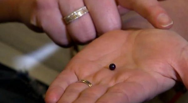 Quahog purple pearl: Woman finds $600 pearl in restaurant seafood dish