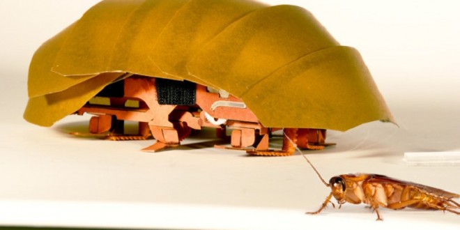 Researchers came up with some wild experiments to build a robotic cockroach