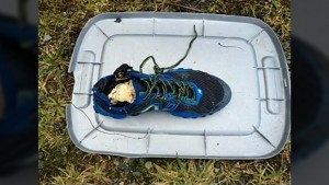 Vancouver Island: Human foot washes ashore on BC beach