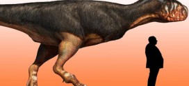 Abelisaur: Fossil reveals growth potential of carnivorous dinosaurs