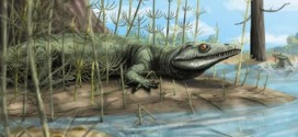 Extraordinary 250-million-year-old Reptile Discovered In Brazil, Research