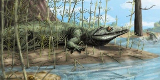 Extraordinary 250-million-year-old Reptile Discovered In Brazil, Research