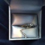 Family finds jewelry toddler flushed three years ago (Photo)
