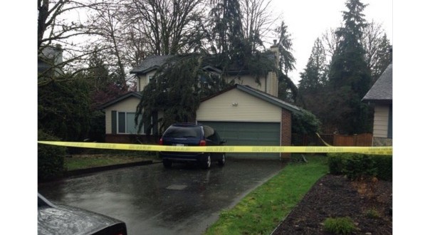 Jill Calder: Woman dies in Port Moody after tree falls on her home
