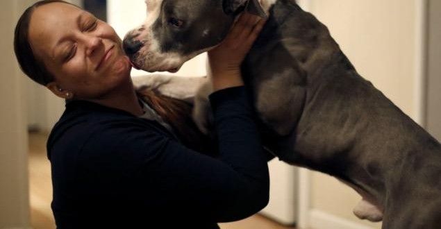 Miraculous reunion Dog missing Three Years Ago Was Reunited With His Family