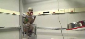 Monkeys Steer Thought