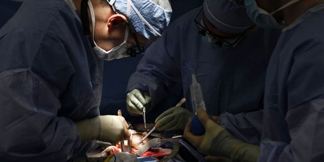 New Method Allows Kidney Transplants From Any Donor