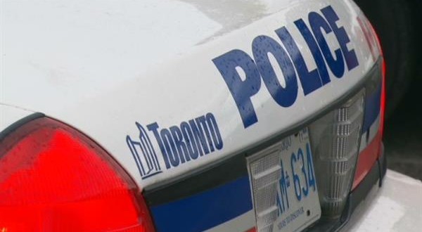 Police shoot pit bull after it attacks boy in Scarborough