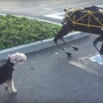 Real dog flips out when it first meets robot canine (Video)