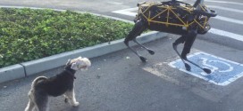 Real dog flips out when it first meets robot canine (Video)