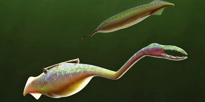 Tully monster: researchers Solve Decades-Long Puzzle of Alienlike Creature