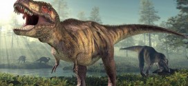 Researchers believe they've found a 'pregnant' T. rex