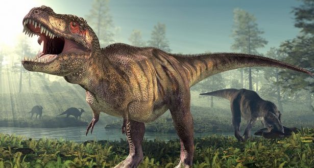 Researchers believe they’ve found a “pregnant” T. rex