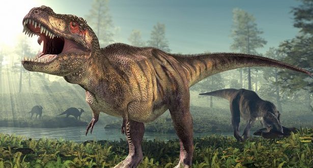 Researchers believe they've found a 'pregnant' T. rex