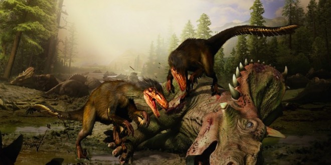 'Savage predator' discovered by paleontologist in northwestern Alberta