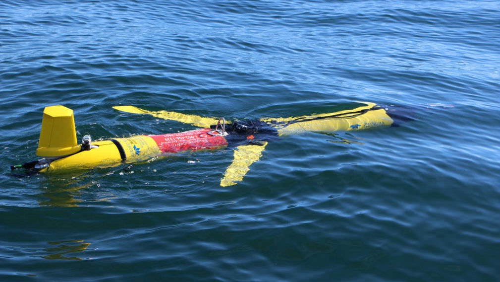 super sharkpedo underwater glider