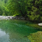Young teen dead after falling into waters of Lynn Canyon