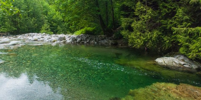 Young teen dead after falling into waters of Lynn Canyon