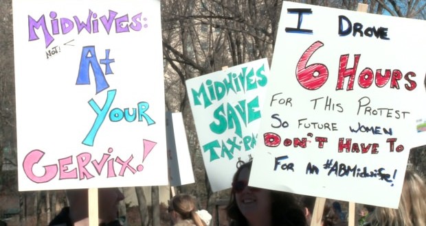 Men, women, and children attend rally for more midwifery support