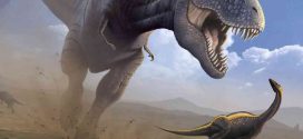 Dinosaurs were in decline before the asteroid hit, New Study