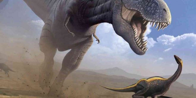 Dinosaurs were in decline before the asteroid hit, Says Study