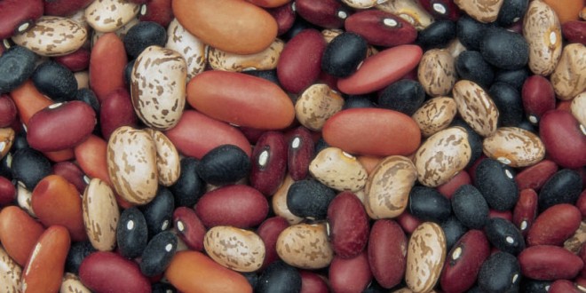 Eat More Beans If You Want To Lose Weight, Says New Research