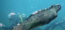 Godzilla monster filmed swimming with divers in Pacific Ocean (Video)