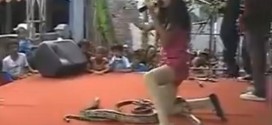 Indonesian Pop Star Dies After Cobra Bite During Concert (Video)
