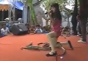 Indonesian Pop Star Dies After Cobra Bite During Concert (Video)