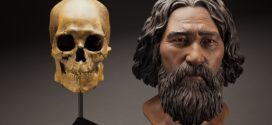 Kennewick Man set to receive tribal burial after decades in limbo