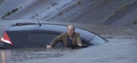 Man Trapped in Sinking Car Rescued by TV Reporter (Video)