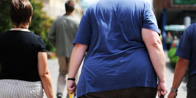 One in five adults worldwide will be obese by 2025, Global Survey